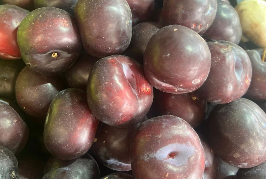 CIRUELAS