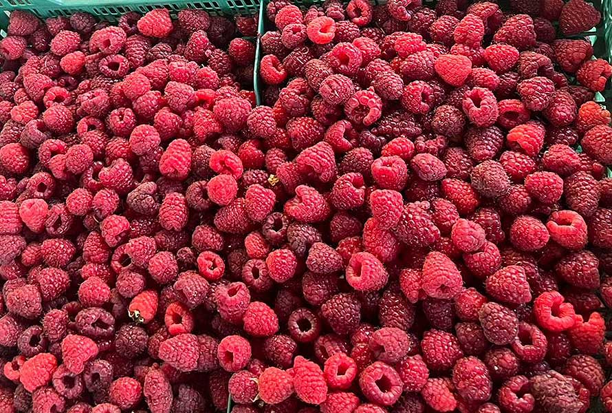 BERRIES