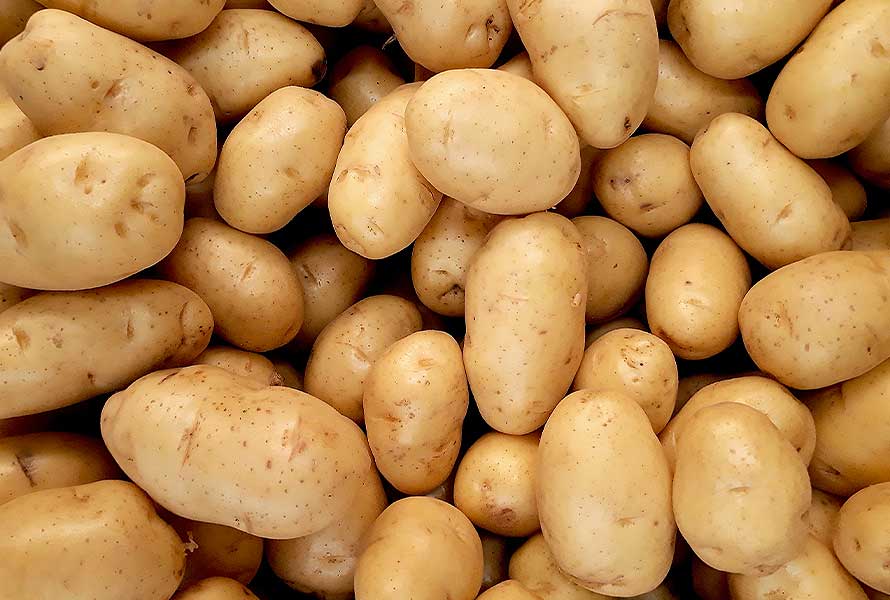 PAPAS