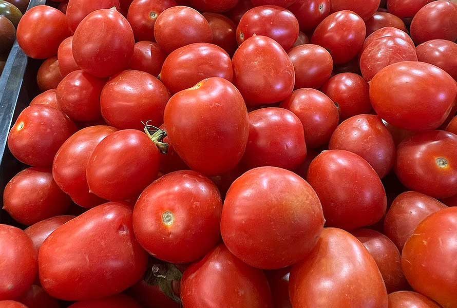 TOMATES