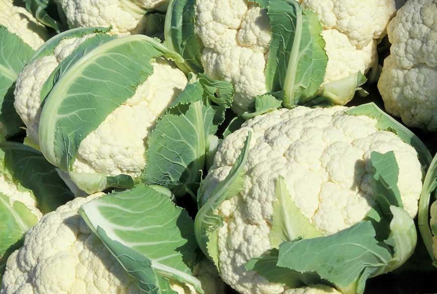 COLIFLOR