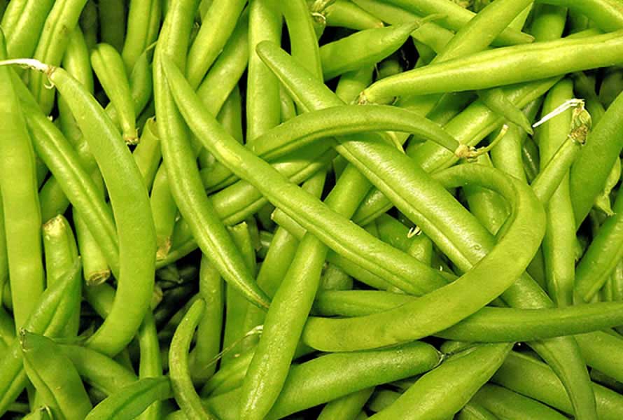 VERDES